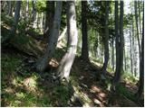 Podrožca / Rosenbach - Koprivnjak / Kleiner Frauenkogel